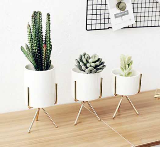 Home Decor Ceramic Vase