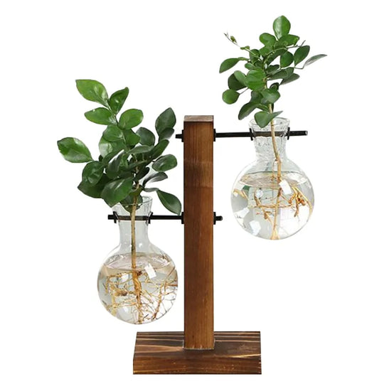 Terrarium Home Decor Plant Vase