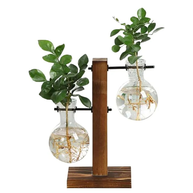 Terrarium Home Decor Plant Vase