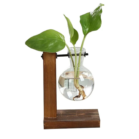 Terrarium Home Decor Plant Vase