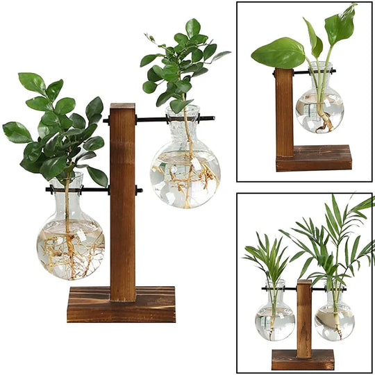 Terrarium Home Decor Plant Vase