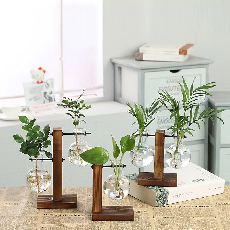 Terrarium Home Decor Plant Vase