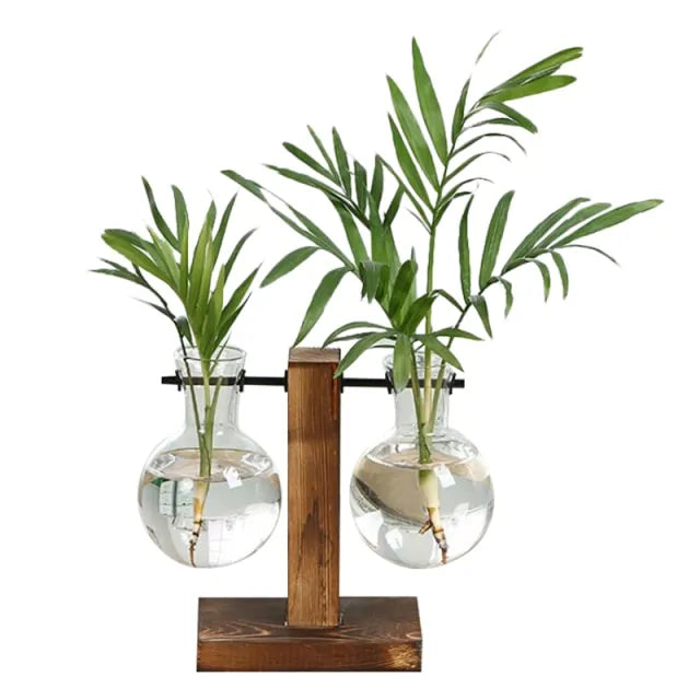Terrarium Home Decor Plant Vase