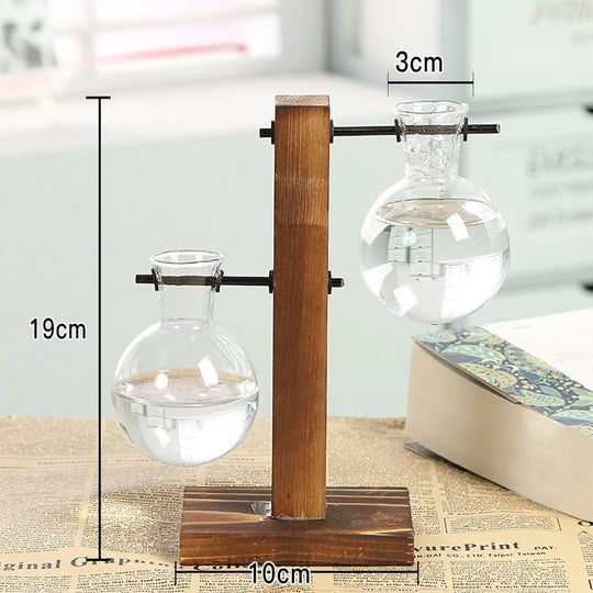Terrarium Home Decor Plant Vase