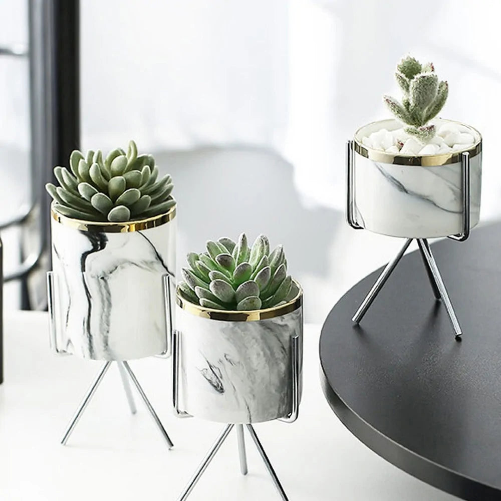 Home Decor Ceramic Vase